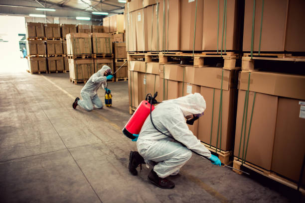 Best Exterminator Services  in Lockney, TX