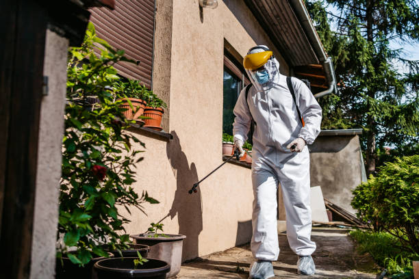 Best Pest Control Near Me  in Lockney, TX