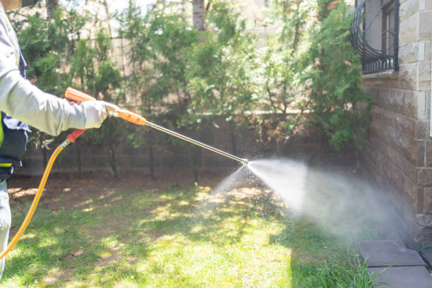 Reliable Lockney, TX Pest Control Solutions