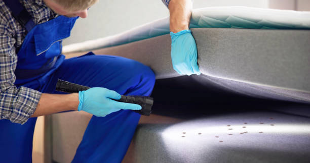 Best Termite Control Services  in Lockney, TX