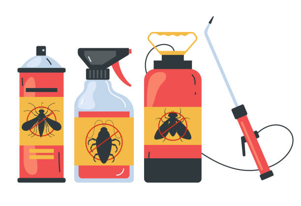 Best Bed Bug Extermination  in Lockney, TX