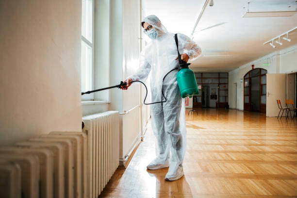 Best Flea Control Services  in Lockney, TX