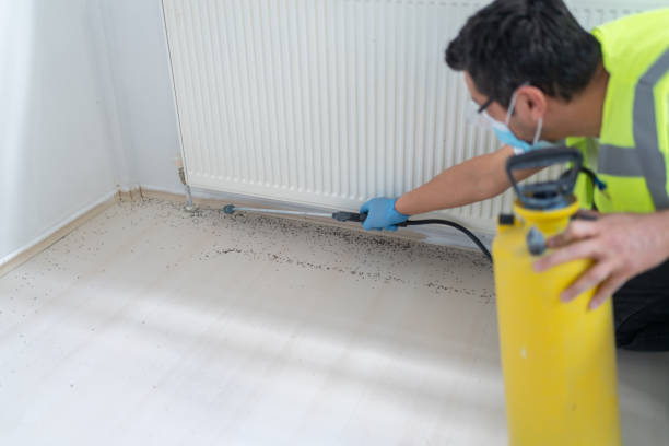 Best Ant Control Services  in Lockney, TX